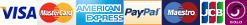 We accept the following payment methods: Visa, Mastercard, Maestro, PayPal, JCB, American Express Electron and Solo Cards We accept the following payment methods: Visa, Mastercard, Maestro, PayPal, JCB, American Express Electron and Solo Cards