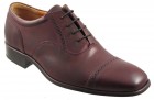 Barker Jardine Special Offer