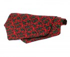 Soprano Accessories Red Small Paisley Cravat