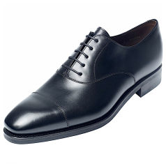 Carmina Tobias DT 80386
