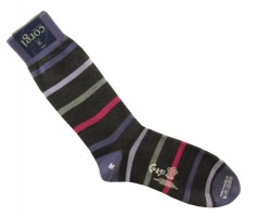 Corgi Socks Fine Stripe Purple