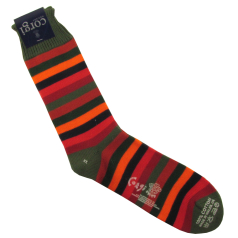Corgi Socks Green Stripes