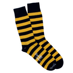 Corgi Socks Regimental Queens Own Yeomanry
