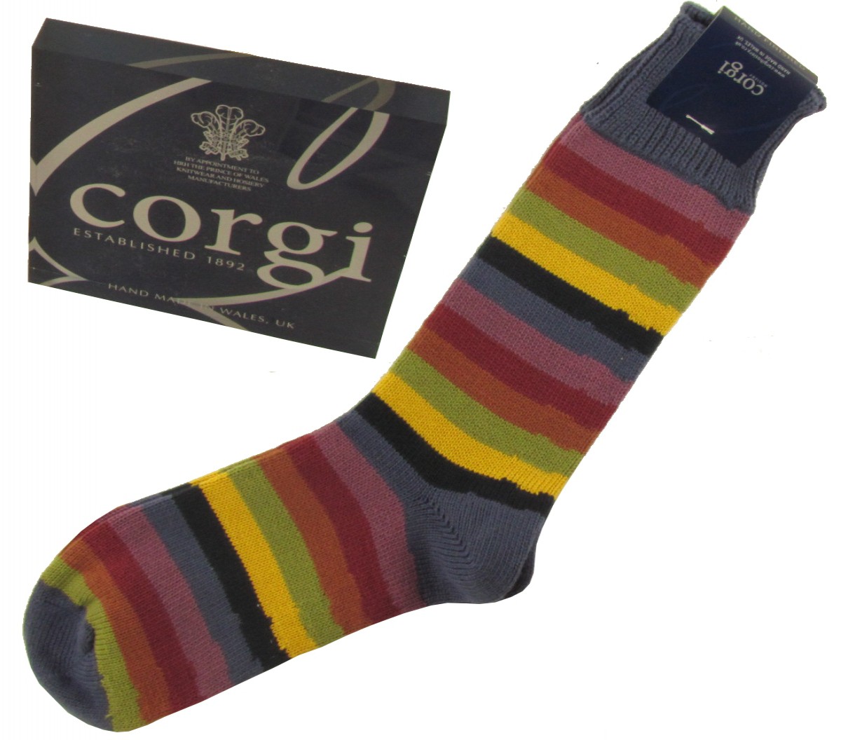 Corgi Socks Purple Stripe