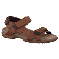 Mephisto Brice