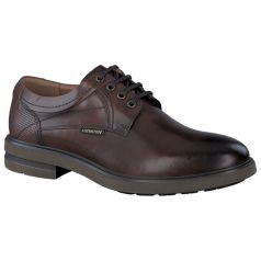 Mephisto Olivio