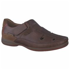 Mephisto Rainer