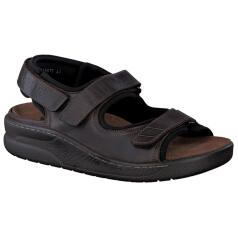 Mephisto Valden