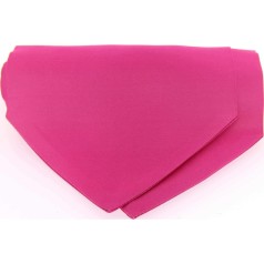 Soprano Accessories Fuchsia Satin Silk Cravat