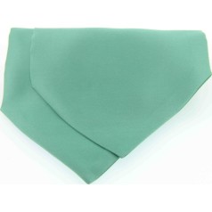 Soprano Accessories Mint Satin Silk Cravat