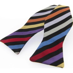 Soprano Accessories Multi-Coloured Striped Self-Tied