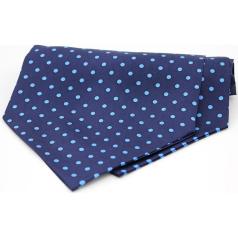 Soprano Accessories Navy Light Blue Polka Cravat
