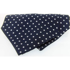 Soprano Accessories Navy & White Polka Cravat
