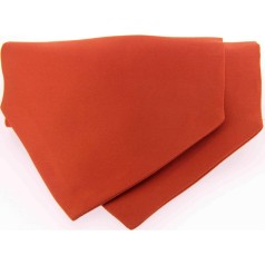 Soprano Accessories Orange Satin Silk Cravat