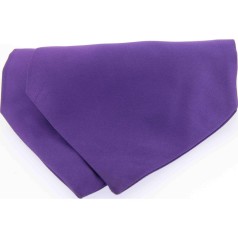 Soprano Accessories Purple Satin Silk Cravat