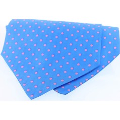 Soprano Accessories Sky Blue & Pink Polka Cravat