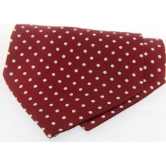 Soprano Accessories Wine & White Polka Cravat