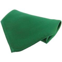 Soprano Accessories Emerald Satin Silk Handkerchief