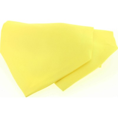 Soprano Accessories Yellow Satin Silk Cravat